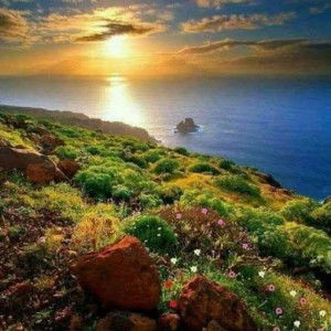 Natjakorn Langjenuy profile icon