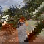 ด. ญ. วาสนา profile icon