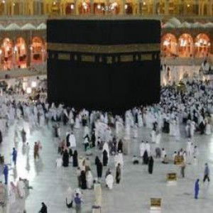 Fitza Pit profile icon