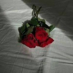 NisaBafaqih profile icon