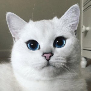 I am mommy profile icon