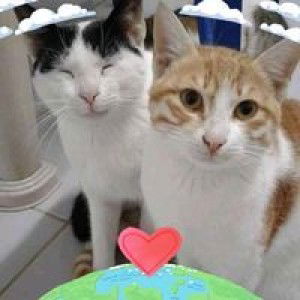 Hana Amil Sandigan Yaman profile icon