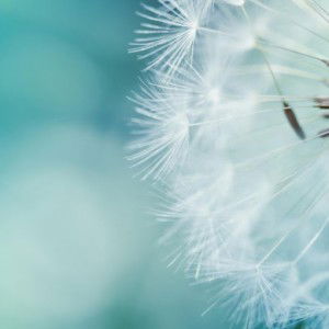 Riyanawati Sabrie profile icon