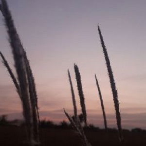 Wahyu Ningtiyas profile icon