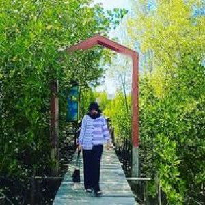 Indah Indah Sari profile icon