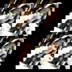 Nour Naurha profile icon