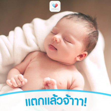 จ้ำม่ำเสียจริงละลูกเอ๋ย!! ขอดูเบบี๋ของคุณแม่หน่อยจ้า