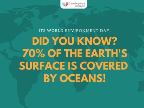 World environment day fun fact