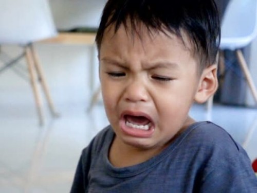 Screaming Toddler