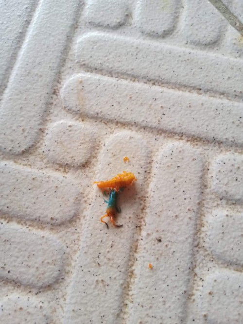 เตือนภัยใกล้ลูก