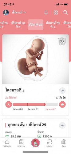 ไตรมาส 3