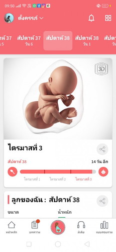 เช้าก็รอเย็นก็รอ