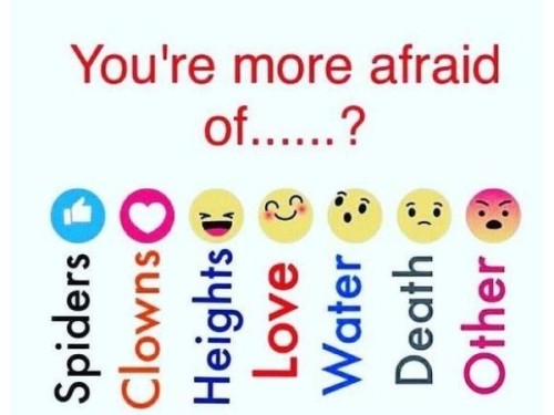 What is your biggest fear?