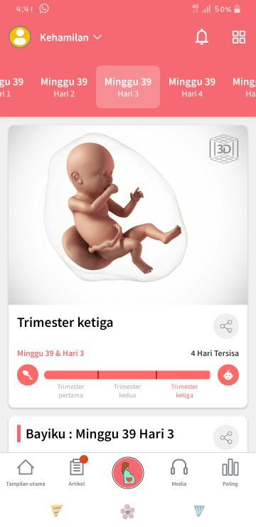 trimester akhir