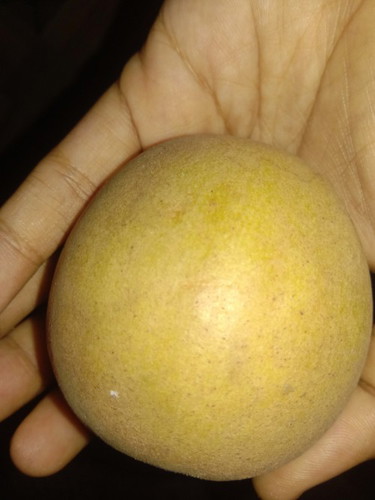 buah