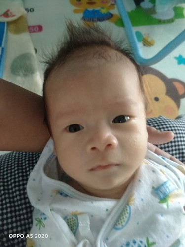 ลูกอ้อนมาก