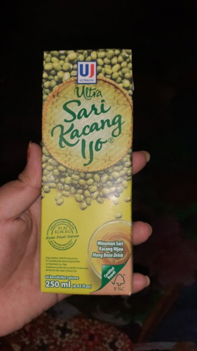 kehamilan
