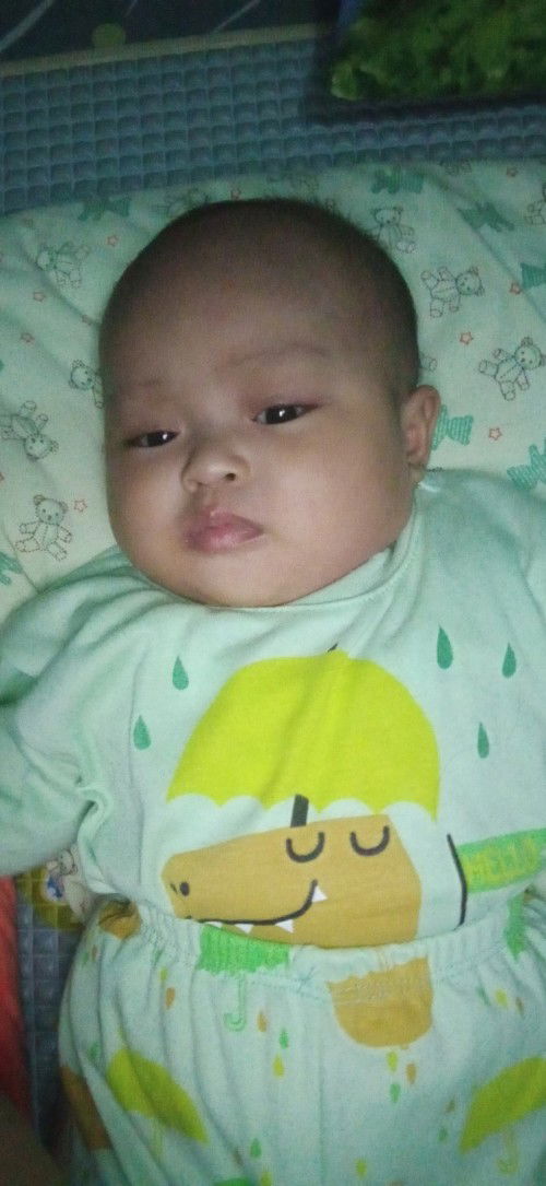 Pampersbayi