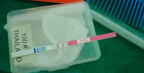 แม่ๆค่ะสอบถามหน่อยค่ะ