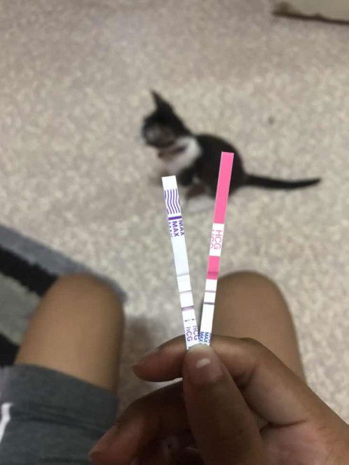 พอดีได้ไปตรวจสุขภาพเริ่มงานผลออกมาปรากฎว่าปกติไม่มีการตั้งครรภ์ แล้วในวันที่28นึกขึ้นได้ว่าประจำเดือนขาดเพราะปกติมาทุกๆวันที่18 เลยตัดสินใจตรวจสรุป2ขีด