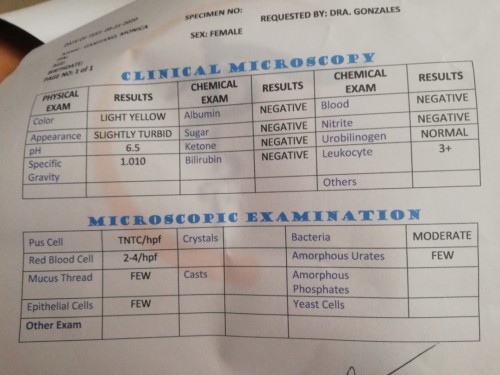 Lab results