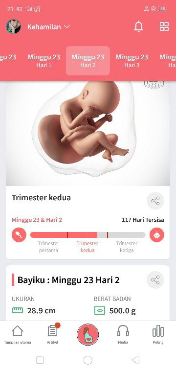 Seputar kehamilan