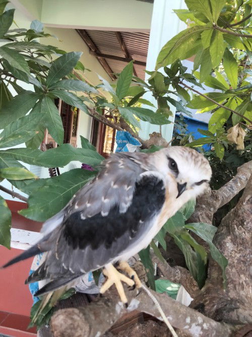 Giúp các mẹ bỉm cùng kím thêm thu nhập