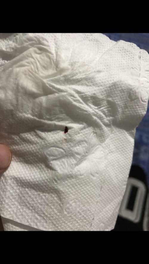 ทีมตุลา 37+6