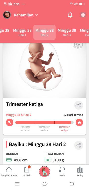 38week  1day