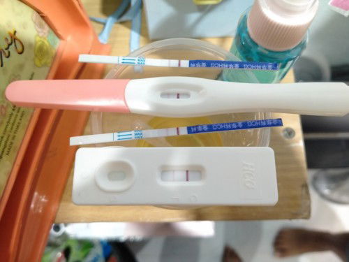 การตั้งครรภ์