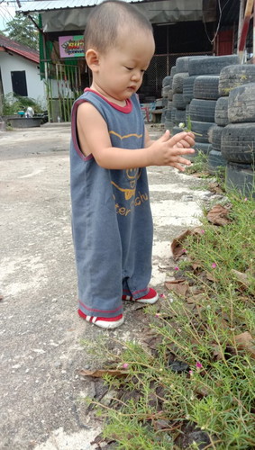 น้องน้ำหนักไม่เพิ่มขึ้นควรทำไงดีค่ะ