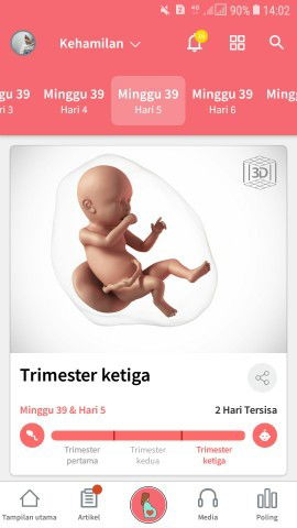 seputar kehamilan