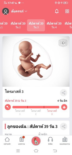แม่เดือนพ.ย แตกกันหมดยังคะ