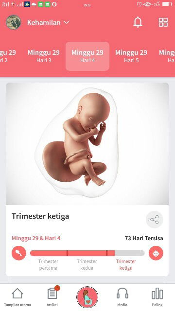 Usia Kehamilan 29w4d