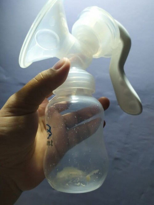 Berusaha menjadi ibu pejuang ASI