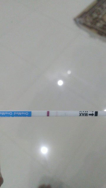 Akutuh bingung sama hasil TP 😭