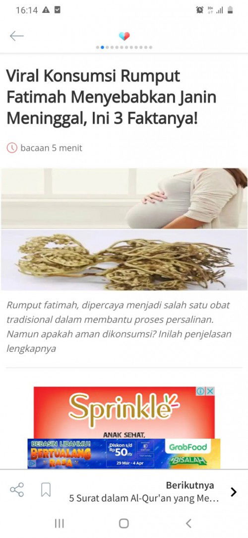Besar manfaat atau mahdhorotnya rumput fatimah dalam persalinan???