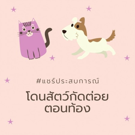แม่ท้องโดนหมากัด แมวกัด แมลงกัด ต้องไปฉีดยาไหม ?