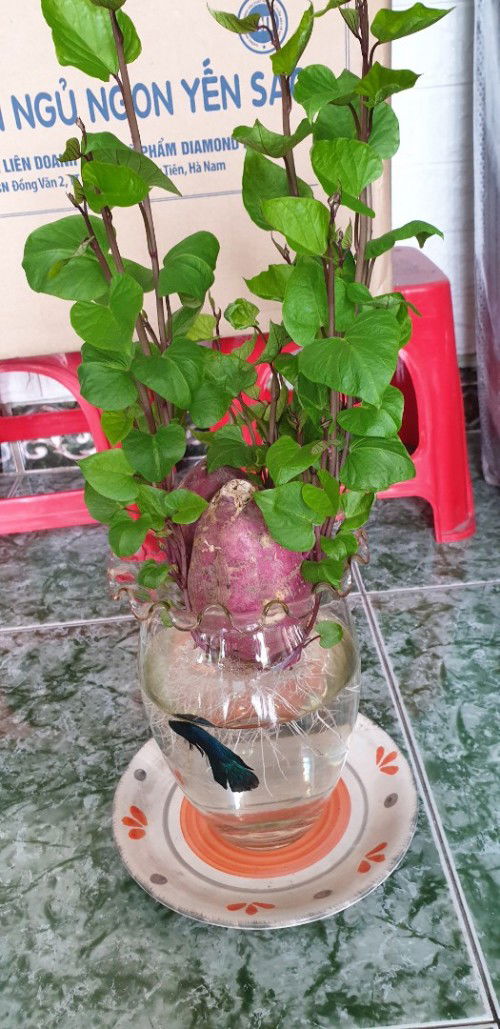 Hãy tôn trọng nhau