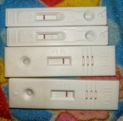 Preggy or not?