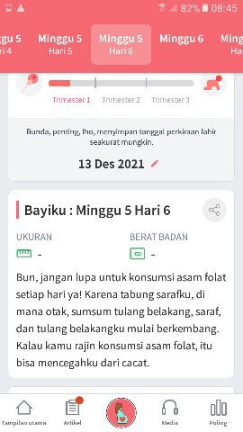 Pemantau kehamilan calon bayi