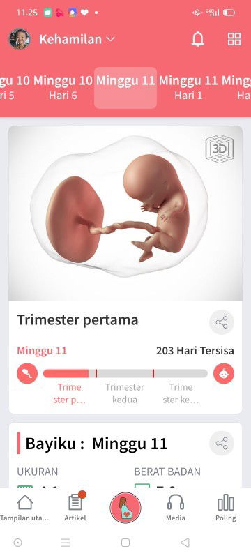 Trimester 1