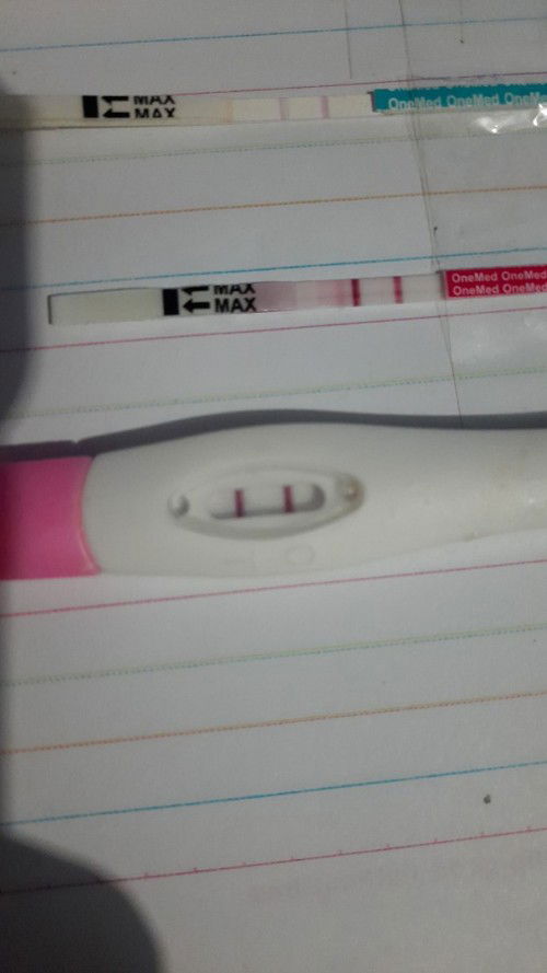 Alhamdulillah garis 2