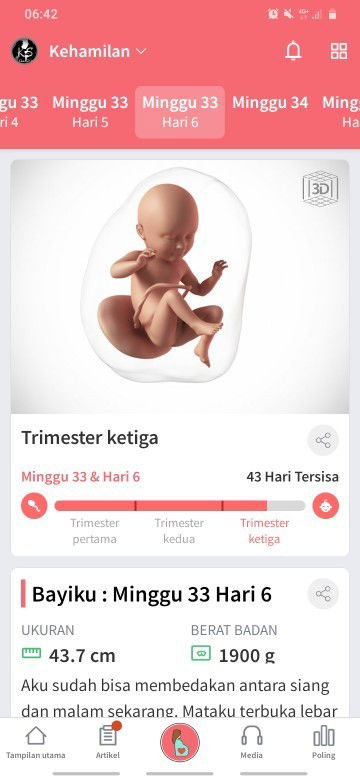 Kehamilan ke 2 anak pertama