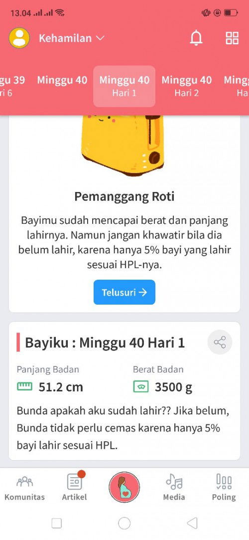 Saran nya bun