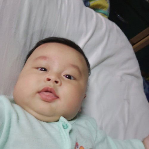 แม่ดำพันธุกรรมพ่อดำแดด