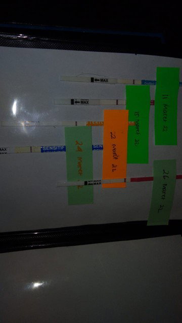 Telat haid