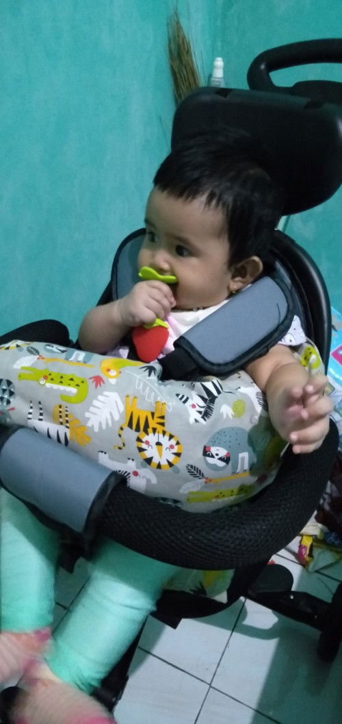 Umur berapa boleh naik stoller duduk?