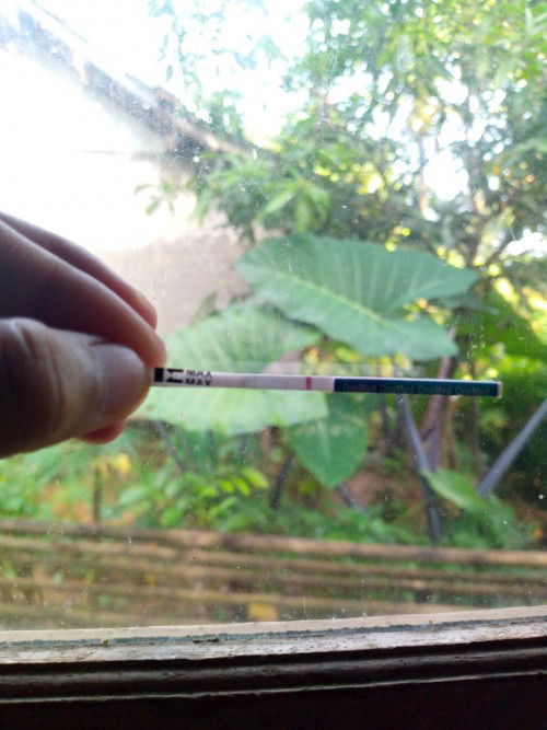 Sedang berharap semoga aja jawabannya bikin bahagia🤲