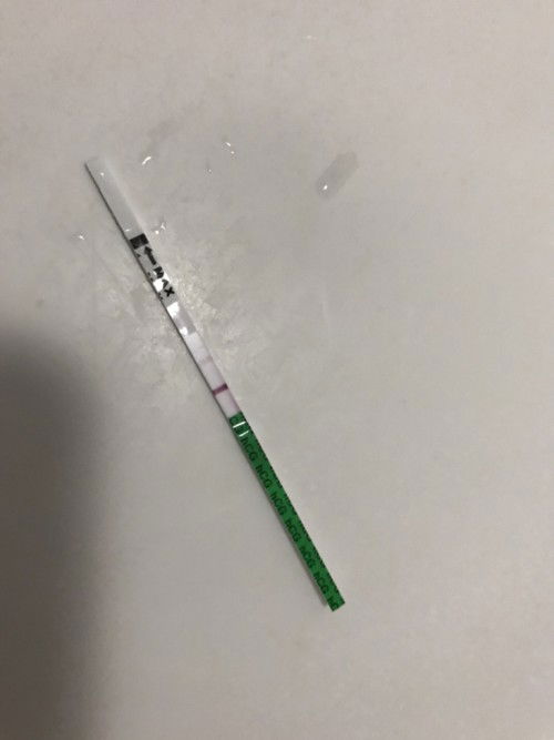 ตั้งครรภ์หรือไม่ตั้งครรภ์